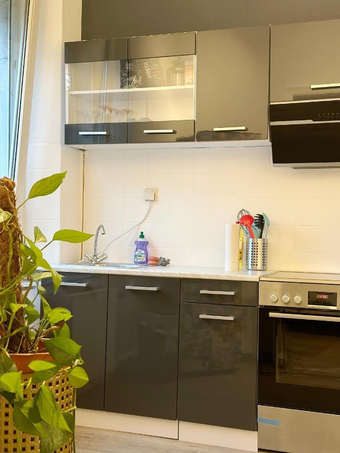 Igo Apartment 2 Schlafenzimmer Mit Waschmaschine Trockner Haustier Rheinufer 5Min Netflix Disney Plus 17-6 Duisburg Eksteriør bilde